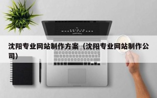 曲靖沈阳专业网站制作方案（沈阳专业网站制作公司）